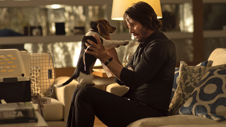 John Wick puppy