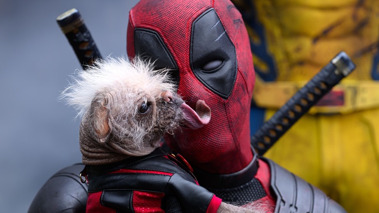 Deadpool & Wolverine Dogpool 