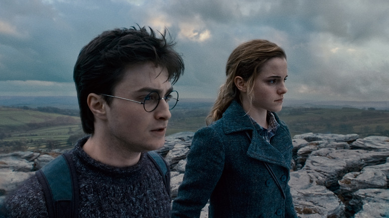 Harry Potter and the Deathly Hallows harry hermione